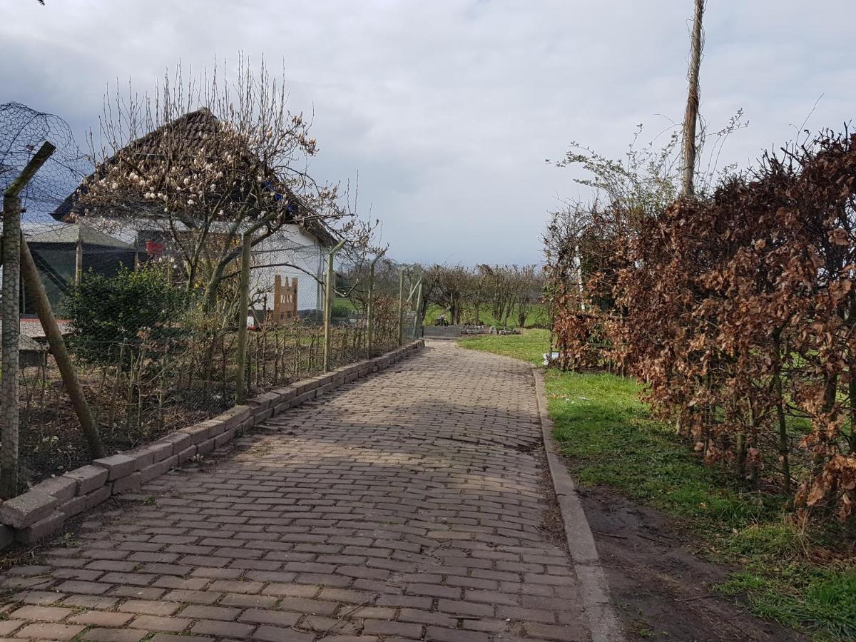 B&B Bos En Wei Xl Hall Zewnętrze zdjęcie